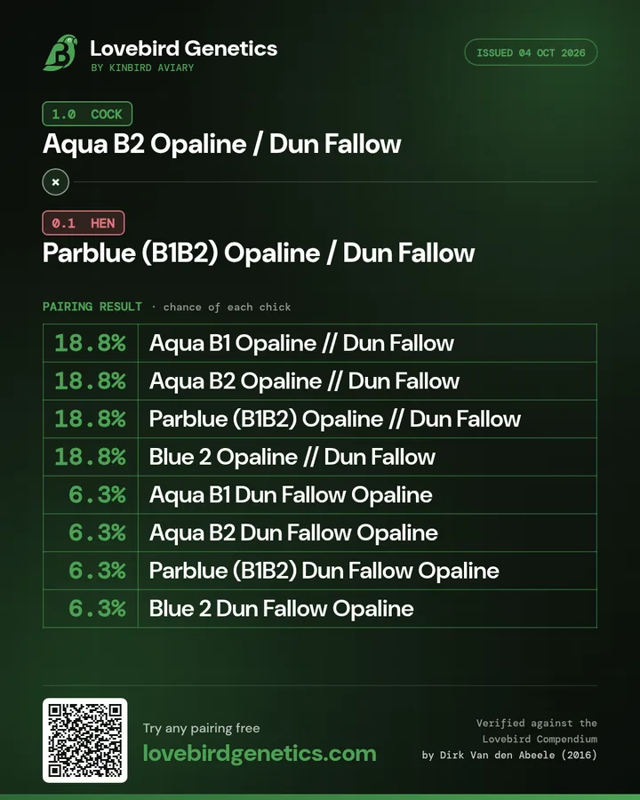 Lovebird Genetics result card for Aqua B2 Opaline / Dun Fallow cock × Parblue (B1B2) Opaline / Dun Fallow hen, with percentages and a QR code