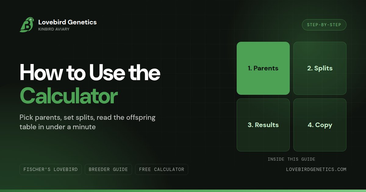 How to Use the LovebirdGenetics Calculator
