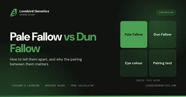 Pale Fallow vs Dun Fallow: How to Tell Them Apart